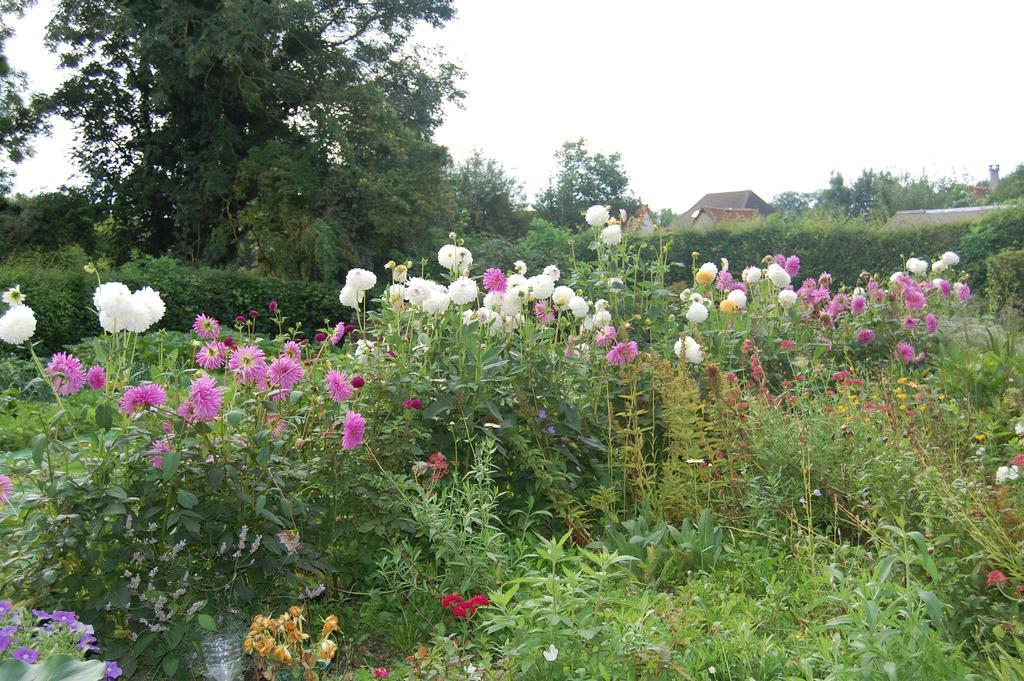 Au Clos du Logis Maintenay Extérieur photo